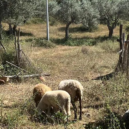 Agriturismo Serre