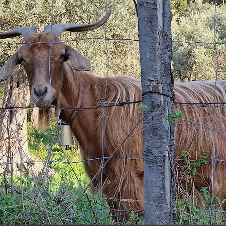 Serre Alloggio per agriturismo SantʼAgata di Militello